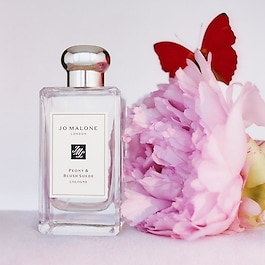 Peony & Blush Suede - Cologne 